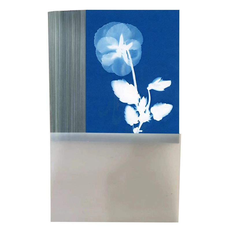Kit de 32 feuilles de papier c - Photography Natural Lighting avis et prix